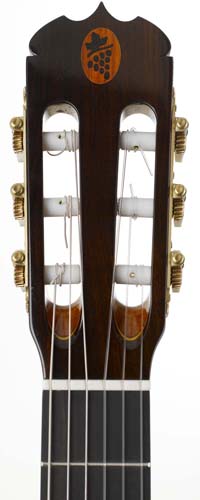 tr-delvino-5.jpg